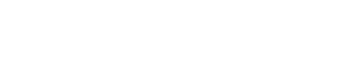 USDV Logo